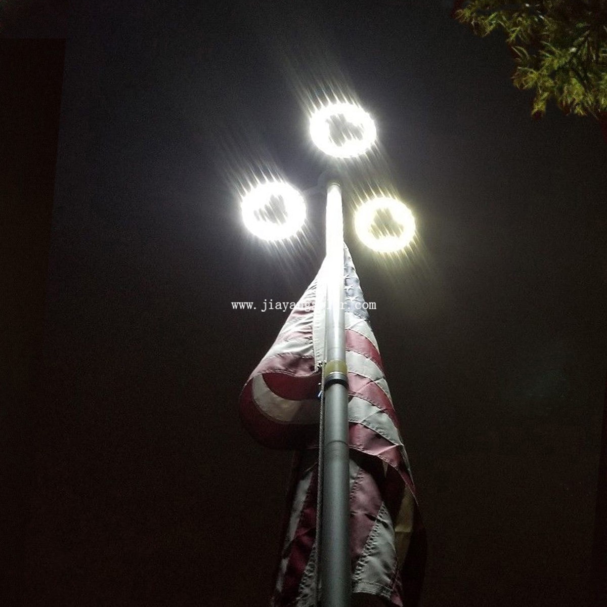 Solar Flagpole Light